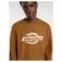 Dickies Ruston πουλόβερ
