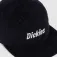 Dickies Gorra Williston