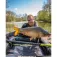 Matrix fishing Torque Carp 8.5 m Butt Section