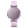 Garmin Smartwatch Lily 2