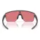 Oakley Corridor sq solbriller