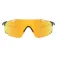 Oakley Cybr dyno solbriller