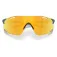 Oakley Cybr dyno solbriller