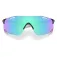 Oakley Cybr dyno solbriller