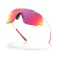 Oakley Cybr dyno solbriller