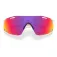 Oakley Ulleres de sol Cybr dyno