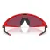 Oakley Ellipse zonnebril