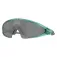 Oakley Ellipse solbriller