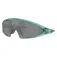 Oakley Ellipse solbriller