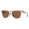 Oakley Frogskins range solbriller