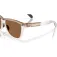 Oakley Frogskins range aurinkolasit