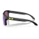 Oakley Holbrook sunglasses