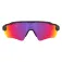 Oakley Radar ev s path 선글라스