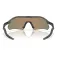 Oakley Radar plate aurinkolasit