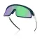 Oakley Rslv solbriller