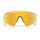 Oakley Sutro lite sweep solbriller