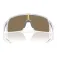 Oakley Sutro solbriller