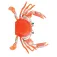Expert predator Giant Crab soft lure
