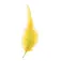Expert predator Ploma Marabou