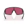 Bliz P001s sunglasses