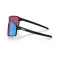 Bliz P001s sunglasses