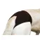 Flamingo Compreses Luvly S