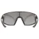 Uvex Gafas de sol skyryse