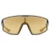 Uvex skyryse sunglasses