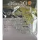 Asari 珠子