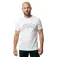 Globe Impacttee 반팔 티셔츠