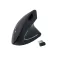 Equip Mouse ergonomico wireless 245110