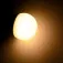 Talamex E27 灯泡