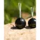 Black cat Cap plomat Ball Dead