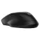 HP 255 Dual mouse