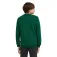 O´neill Essentials sweatshirt