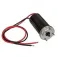 Muir Motor 24V 800W