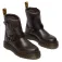 Dr martens Anistone Hrns boots