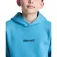 Element Sudadera con capucha Lowcase