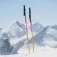 Faction skis Bâtons Lite