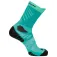 Salomon Aero crew socks