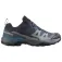 Salomon X Ultra 360 Goretex hiking shoes