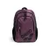 Arena All Set 30L backpack
