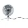 Shark Ventilateur de table Flexbreeze FA200EU