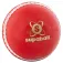 Readers Supaball Training cricketboll