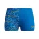 Speedo Digital Allover uimashortsit