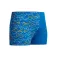 Speedo Digital Allover uimashortsit