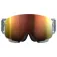 POC Nexal ski goggles