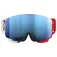 POC Nexal ski goggles