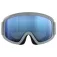 POC Opsin ski goggles