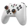 Gamesir T4N Lite PC Wireless Gamepad